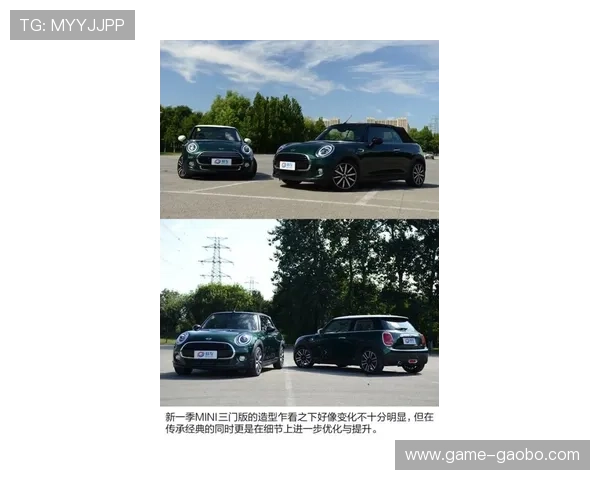 尊龙z6官网最新车型信息全面解析，助你轻松掌握尊龙z6的所有动态