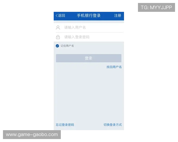 欧博地址登录入口常用登录方式介绍，满足不同用户的多样化需求