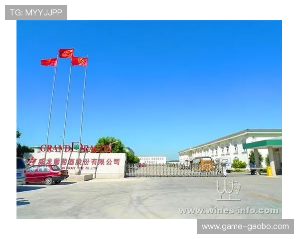 威龙国际:专注于国际贸易与跨境电商的领先企业,助力企业全球拓展 威龙国际:专注于国际贸易与跨境电商的领先企业,助力企业全球拓展